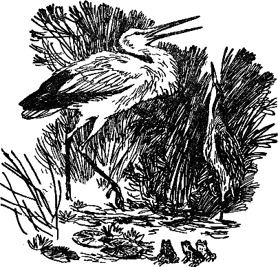 Рассказы и сказки - i_005.png