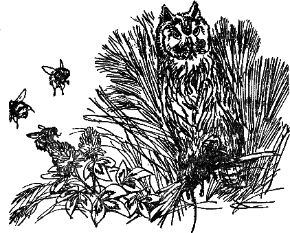 Рассказы и сказки - i_006.png