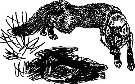 Рассказы и сказки - i_008.png