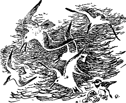 Рассказы и сказки - i_010.png