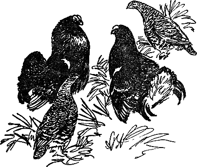 Рассказы и сказки - i_011.png