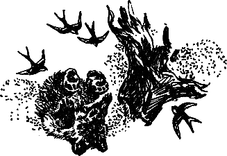 Рассказы и сказки - i_012.png