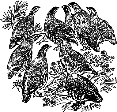 Рассказы и сказки - i_013.png