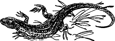 Рассказы и сказки - i_017.png