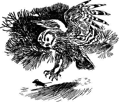 Рассказы и сказки - i_023.png