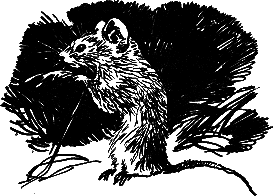 Рассказы и сказки - i_024.png