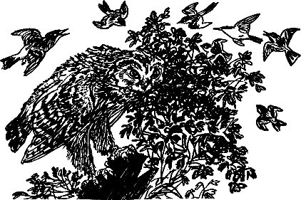 Рассказы и сказки - i_026.png