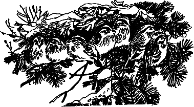 Рассказы и сказки - i_027.png