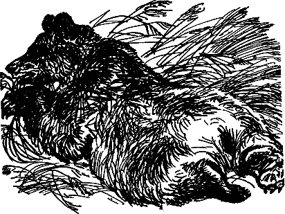 Рассказы и сказки - i_030.png