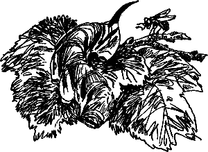 Рассказы и сказки - i_032.png