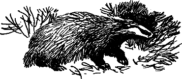 Рассказы и сказки - i_035.png