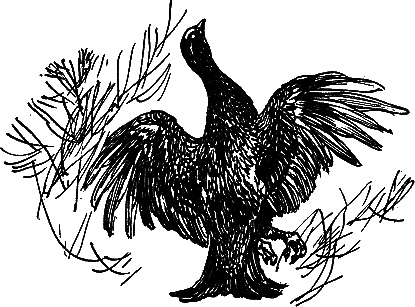 Рассказы и сказки - i_037.png