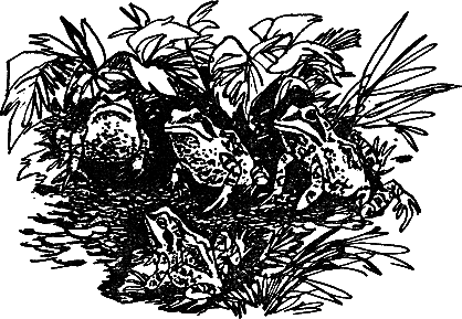 Рассказы и сказки - i_039.png