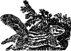 Рассказы и сказки - i_041.png