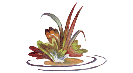 Рыбий дом - _02.png