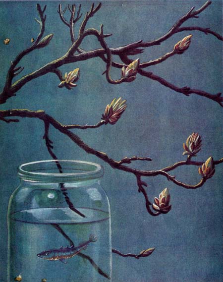 Рыбий дом - _03.jpg