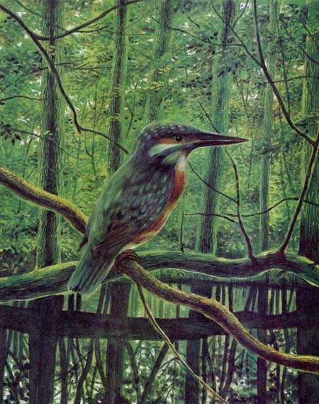 Рыбий дом - _08.jpg