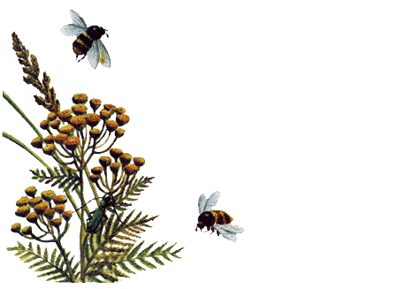 Рыбий дом - _13.png