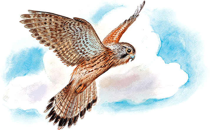 Сказки и рассказы про животных - i_007.png