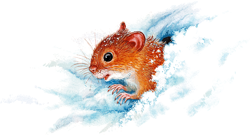 Сказки и рассказы про животных - i_021.png