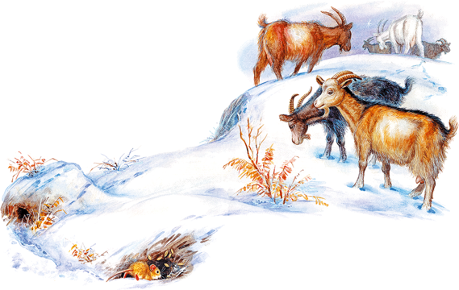 Сказки и рассказы про животных - i_024.png