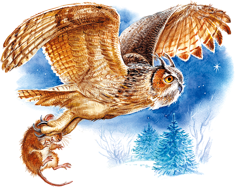 Сказки и рассказы про животных - i_027.png