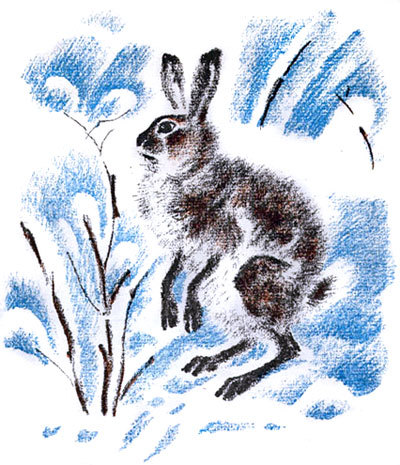 Снежная книга - i_003.jpg