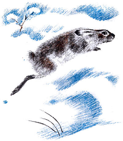 Снежная книга - i_004.jpg