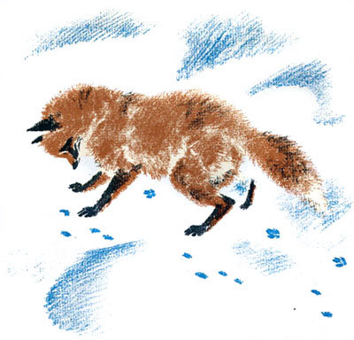 Снежная книга - i_005.jpg