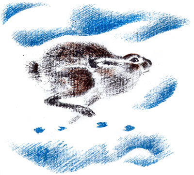 Снежная книга - i_008.jpg