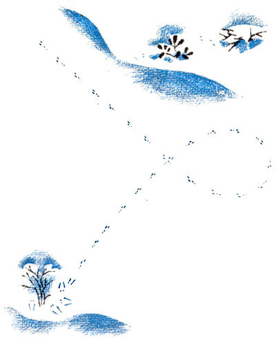 Снежная книга - i_010.jpg