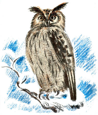 Снежная книга - i_011.jpg