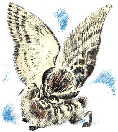 Снежная книга - i_012.jpg