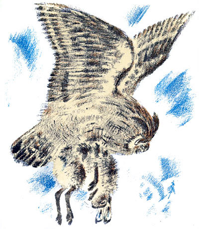 Снежная книга - i_014.jpg