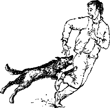 Среди Йоркширских холмов - i_016.png