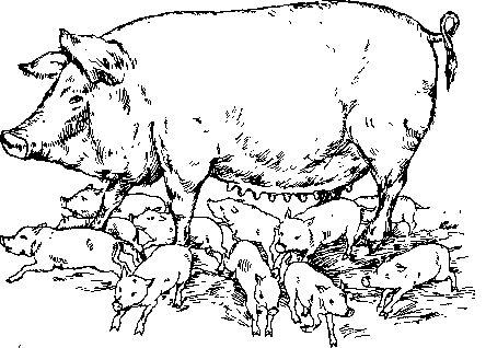 Среди Йоркширских холмов - i_037.png