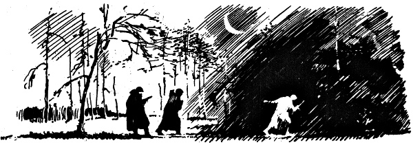 Сын полка - i_003.jpg