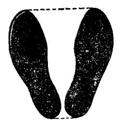 Большая книга занимательных наук - i_010.jpg