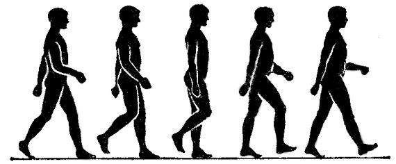 Большая книга занимательных наук - i_011.jpg