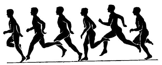 Большая книга занимательных наук - i_013.jpg