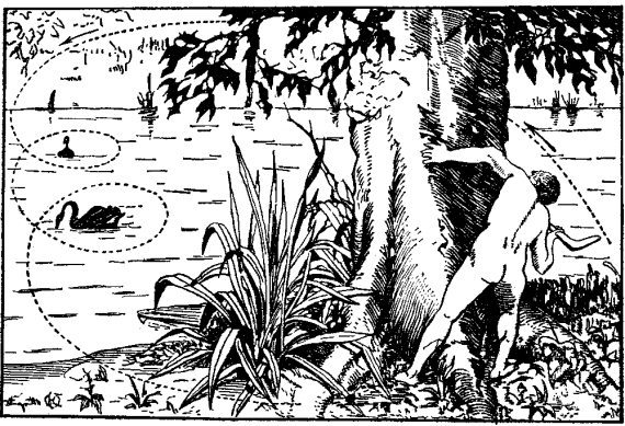 Большая книга занимательных наук - i_018.jpg