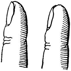 Большая книга занимательных наук - i_060.jpg