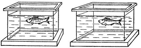 Большая книга занимательных наук - i_068.jpg