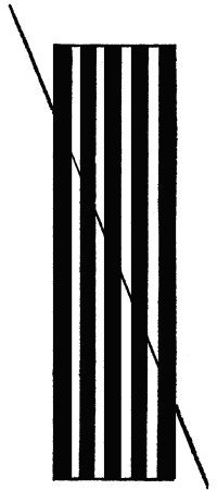 Большая книга занимательных наук - i_079.jpg