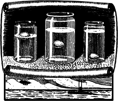 Для юных физиков. Опыты и развлечения (сборник) - i_008.png