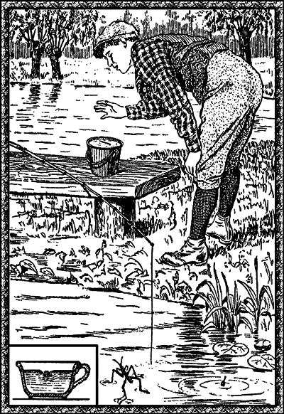 Для юных физиков. Опыты и развлечения (сборник) - i_010.png