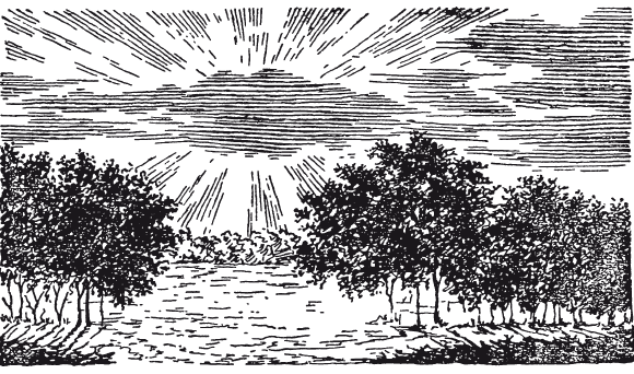 Живая математика. Занимательные задачи для любознательных умов - i_006.png