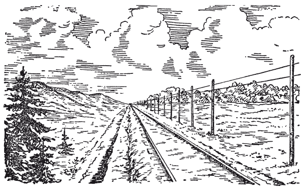 Живая математика. Занимательные задачи для любознательных умов - i_009.png