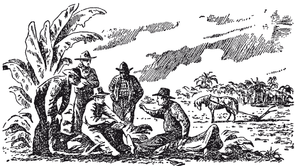 Живая математика. Занимательные задачи для любознательных умов - i_030.png