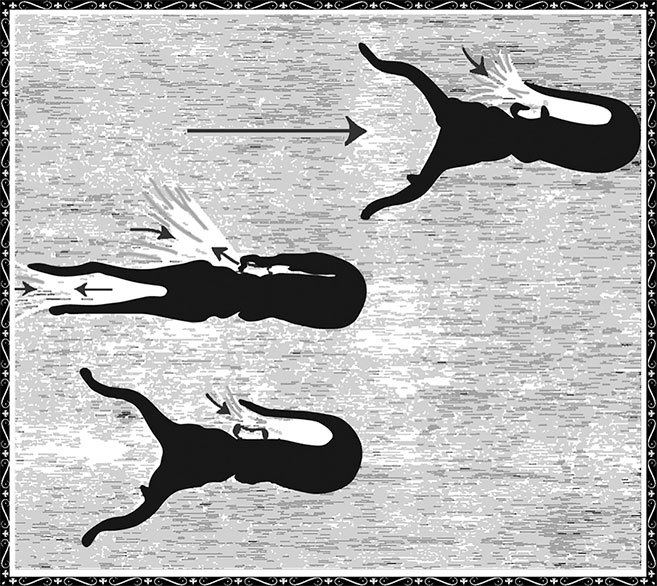 Занимательная физика. Книга 2 - i_011.jpg